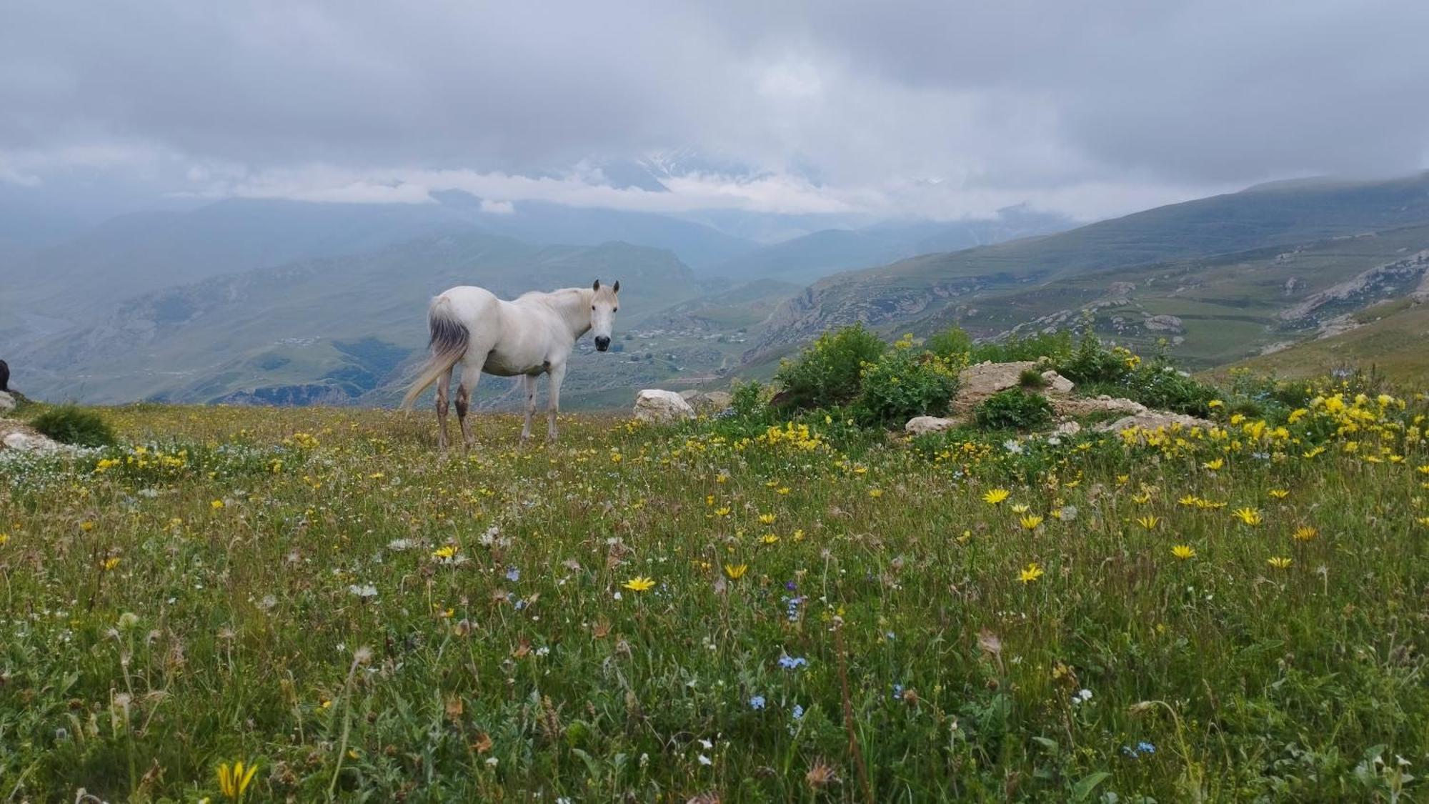 Zaur Guest Hause Ξενοδοχείο Xinaliq Εξωτερικό φωτογραφία